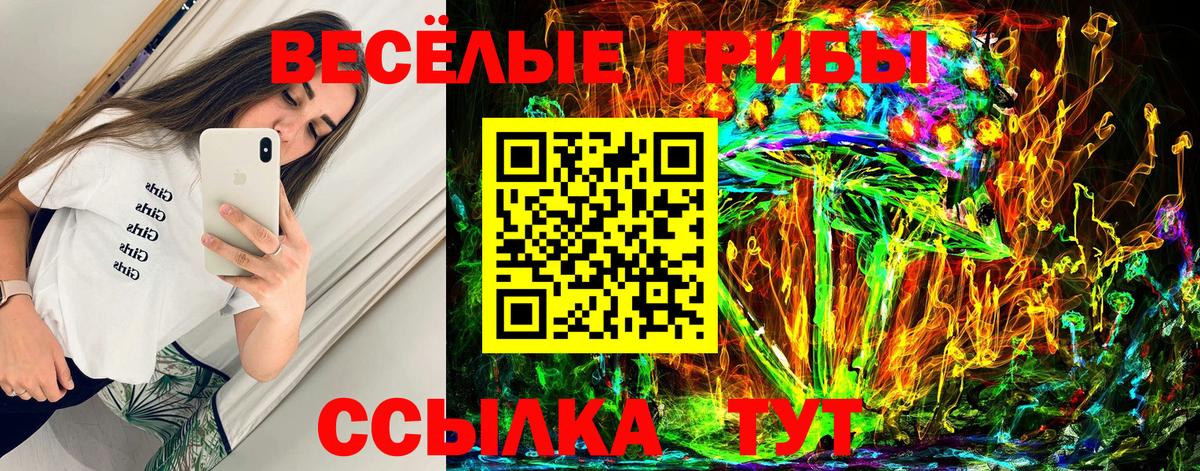 Псилоцибиновые грибы мухоморы Иркутск