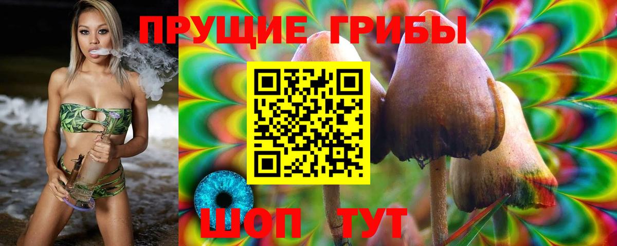 Иркутск  Псилоцибиновые грибы мицелий  Вход с VPN 